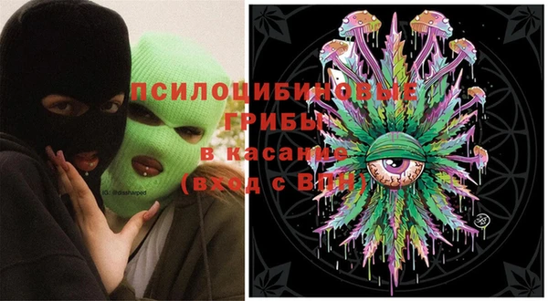 соль курить ск Алзамай